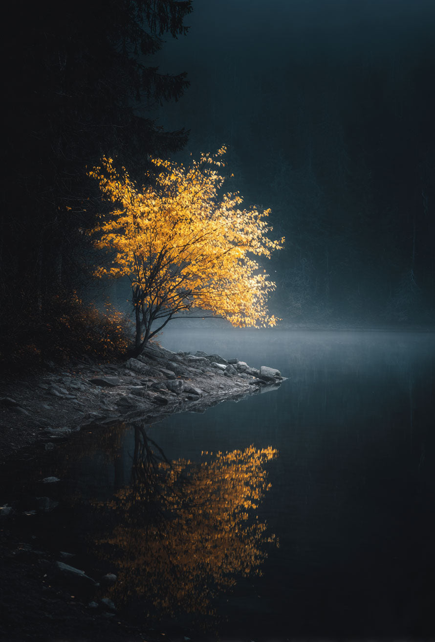 Almost Illuminated