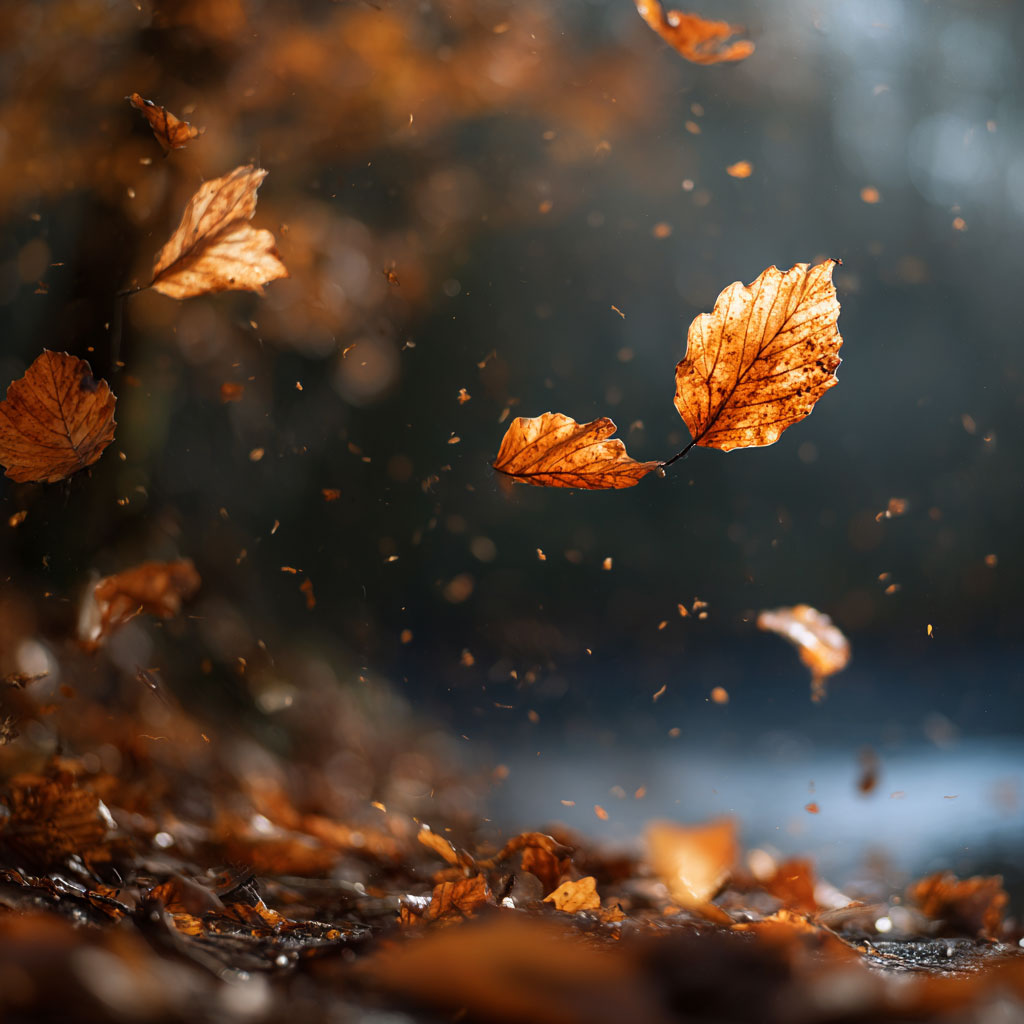 Dances with Leaves