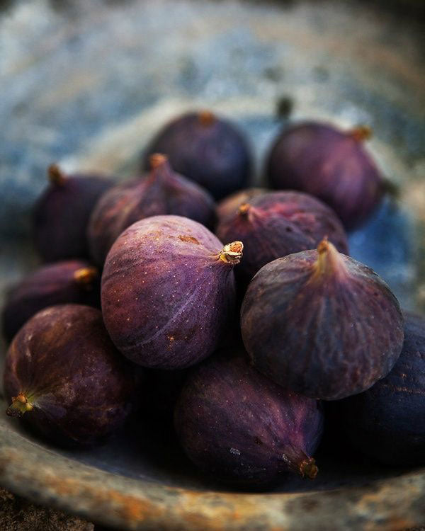 Fall Fig