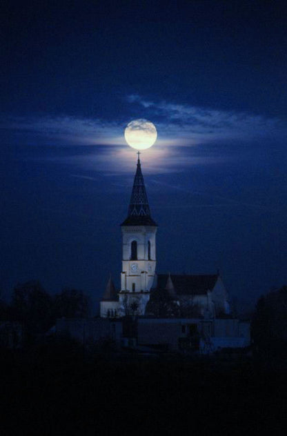 Gothic Nights