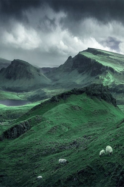 Luck of the Irish