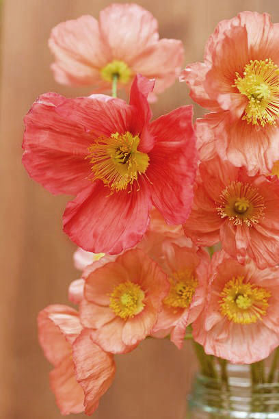 Memories of Spring