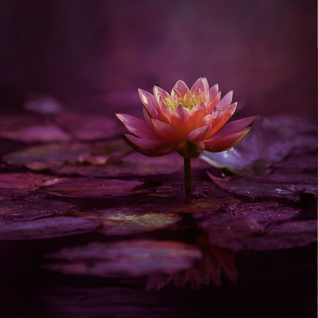 Secretly Spectacular