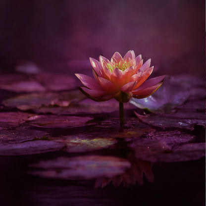 Secretly Spectacular