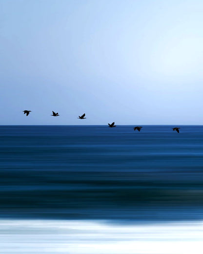 Taking Flight