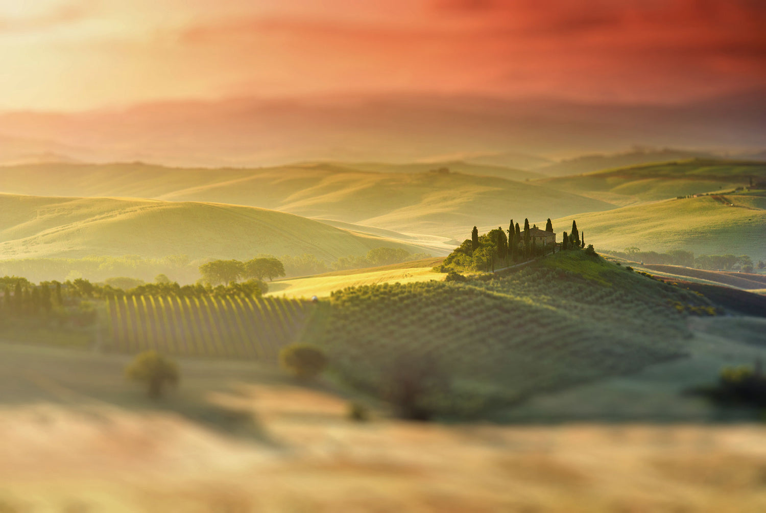 The Drama of Tuscany