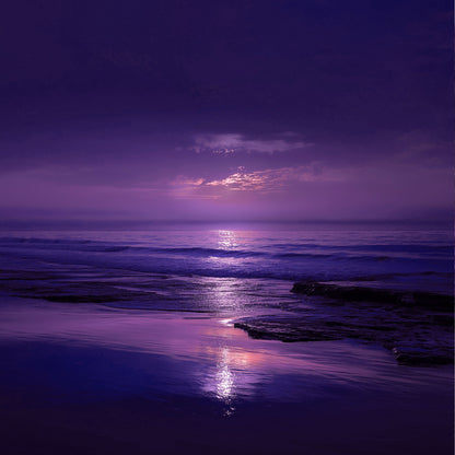 The Shimmering Sea