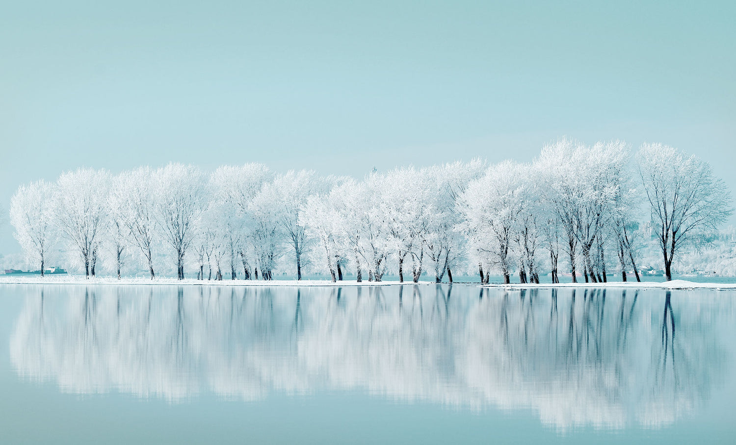 Winterscape