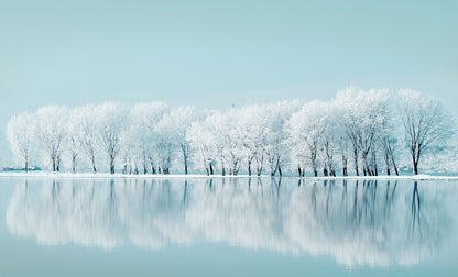 Winterscape